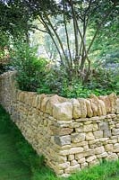 Detail of dry stone wall. The Warner Edwards Garden, a representation of Falls Farm in the Northamptonshire countryside, Sponser: Warner Edwards, RHS Chelsea Flower Show, 2018.