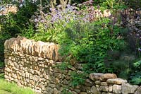 Dry stone wall and mixed planting. The Warner Edwards Garden, a representation of Falls Farm in the Northamptonshire countryside, Sponser: Warner Edwards, RHS Chelsea Flower Show, 2018.
