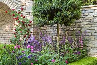 Standard Prunus lusitanica underplanted with Digitalis purpurea and Rosa. A Very English Garden. Sponsor: The Claims Guys, RHS Chelsea Flower Show, 2018.
