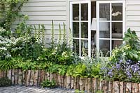 Raised border edged with logs planted with white foxgloves, epimediums, ferns and fig - RHS Chelsea Flower Show 2018