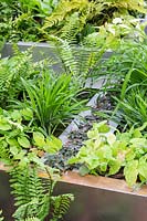 Metal raised beds with mixed planting including Epimedium, Hostas and ferns at  Wuhan Water Garden,  RHS Chelsea Flower Show, 2018