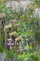 Mixed planting of grasses, Lychnis and Salvia by sculptural rusty metal screens - The David Harber and Savills Garden -  RHS Chelsea Flower Show 2018
