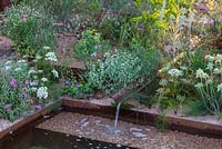 Rill and spout with herbs and shrubs, The M and G Garden, RHS Chelsea Flower Show, 2018