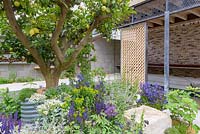 Islamic influence garden with rills, metal and wood fretwork screens and lemon tree Citrus x limon 'Improved Meyer' with yellow fruit - The Lemon Tree Trust Garden - RHS Chelsea Flower Show 2018