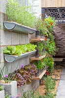 Herbs and vegetables growing in drain pipe wall planters. The Lemon Tree Trust Garden, Sponsor: Lemon Tree Trust, RHS Chelsea Flower Show, 2018.
