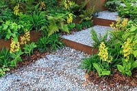 The Lemon Tree Trust Garden - Pebble pathway and steps with rusted steel risers, flanked by hardy Orchid Calanthe striata, Sedges and Ferns - Sponsor: The Lemon Tree Trust - RHS Chelsea Flower Show 2018