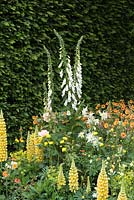 A gold, white and orange colour themed border in The LG Eco-City Garden, Sponsor LG Electronics, RHS Chelsea Flower Show, 2018.