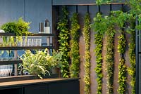 Interior of pavilion with living wall and houseplants. The LG Eco-City Garden, Sponsor LG Electronics, RHS Chelsea Flower Show, 2018.