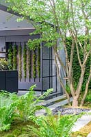 Pavilion with Dryopteris ferns and multi-stemmed tree. The LG Eco-City Garden, RHS Chelsea Flower Show, 2018. Sponsor: LG Electronics