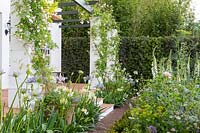 Pergola with Rosa 'Paul's Himalayan Musk' and Agapanthus. The Trailfinders South African Wine Estate, RHS Chelsea Flower Show, 2018. Sponsor: Trailfinders Ltd