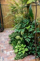Patio garden with red brick surface and mixed planting