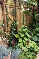 Patio garden border with wooden fence and mixed planting