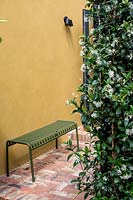 Bench in patio garden with Trachelospermum jasminoides 