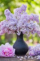 Floral arrangement of Syringa and Paeonia.