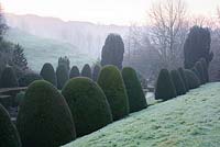 Clipped yews llne the formal Canal garden at Mapperton, Dorset. 