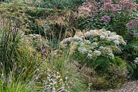 Gravel garden alongside the drive features mixed planting of grasses, herbaceous perennials and shrubs - Shropshire, UK