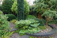 Circular raised bed of shrubs and trees - Shropshire, UK