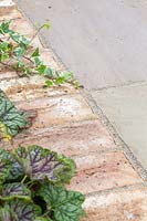 Brick edging and paving stones with Heuchera and Hedera - Ivy