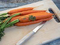 Removing foliage from washed harvested carrots