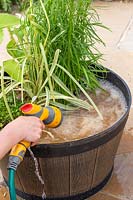 Woman filling half barrel with water using a hose