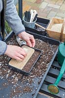 Woman using a potting tamper to firm soil in black, plastic seed tray prior to sowing seeds.
