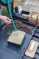 Woman watering tray of recently sown seed.