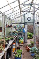 View within working greenhouse, Watcombe, Somerset, UK.