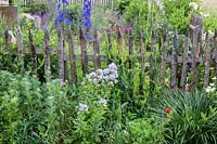 Mixed border along the charachter fence containing Artemisia Abrotanum, Campanula lactiflora, delphinium sp.