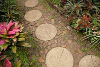 Stone path through dense tropical planting in Hunte's Garden, Barbados