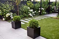 Hydrangea Annabelle with Ilex Crenata 'Dark Green' in planters and artificial lawn