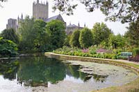 Large pond in the Wells Gardens where springs bubble to the surface surrounded by lush planting and benches to sit and enjoy the setting below the bulk of Wells Cathedral