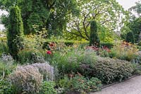 Hot border in the East Garden planted with a mix of herbaceous perennials and 
grasses including fennel, dahlias, bananas, Phlomis russeliana and sedums 
around upright forms of Irish yews, Taxus baccata 'Fastigiata', representing 
the 12 'Apostle Yews' which stood in the C19th parterre.