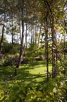Maturing trees with lawn. Le Jardin Anglais.  Pres du Goualoup.  Festival des Jardins 2018, Chaumont sur Loire, France 