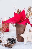 Red poinsettia with dried foliage in rusty vase