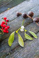 Frosty Mistletoe, holly berries and cones on wood