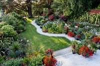 Stone patio and steps down to borders, curved lawn and path - Pam Woodall's garden, 'Pinecombe' in Dorset, UK