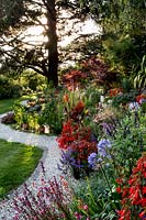 Colourful mixed border - Pam Woodall's garden, 'Pinecombe' in Dorset, UK