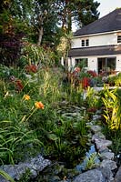 Rockery in garden - Pam Woodall's garden, 'Pinecombe' in Dorset, UK