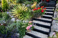 Wooden steps with white gravel - Pam Woodall's garden, 'Pinecombe' in Dorset, UK