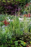 Rockery and pond - Pam Woodall's garden, 'Pinecombe' in Dorset, UK
