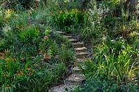 Borders in the wildlife garden with steps - Pam Woodall's garden, 'Pinecombe' in Dorset, UK