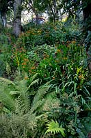 Wildlife garden. Pam Woodall's garden, 'Pinecombe' in Dorset, UK