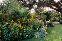 Mixed planting in border - Pam Woodall's garden, 'Pinecombe' in Dorset, UK