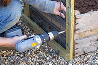 Woman using electric screwdriver to fix trellis to wooden crate. 