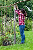 Woman tying garden twine to rustic post. 