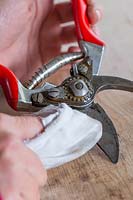 Woman using soft cotton cloth to remove any additional oil from secateurs.