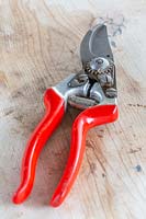 View of clean Felco secateurs. 