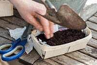 sowing set on a table -  scissors, small bowl for sowing and a hand working with the shovel