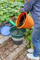 Straining comfrey fertiliser using plastic sieve