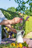 Creating an informal floral arrangement in jug with garden flowers 